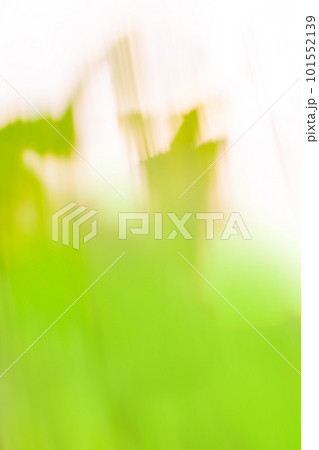 Green abstract dynamic defocused light trails. Green decorative backdrop with sparks flying. Green abstract dynamic defocused light trails. Green decorative backdrop with sparks flying. 101552139