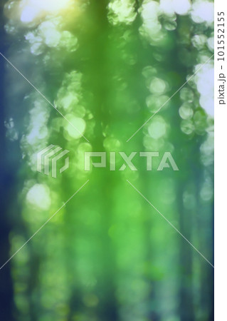 Bokeh in green natural tree leaves background Bokeh in green natural tree leaves background 101552155