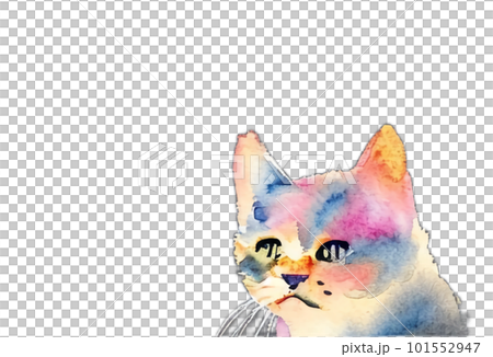 カラフルな子猫 101552947