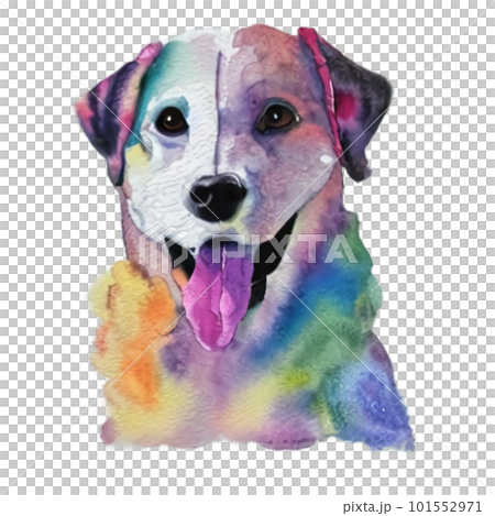 カラフルな犬 101552971