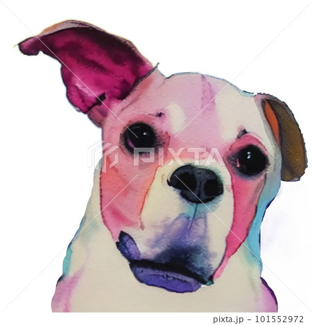 片耳をあげた犬 101552972