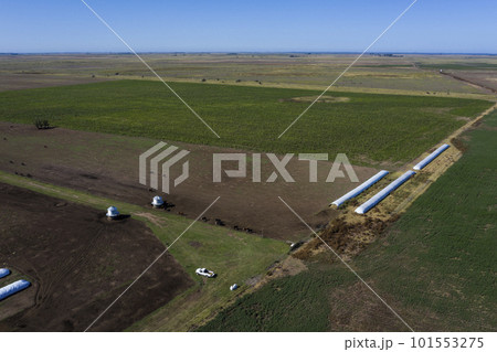 Silo bag, grain storage in La Pampa, Argentina 101553275