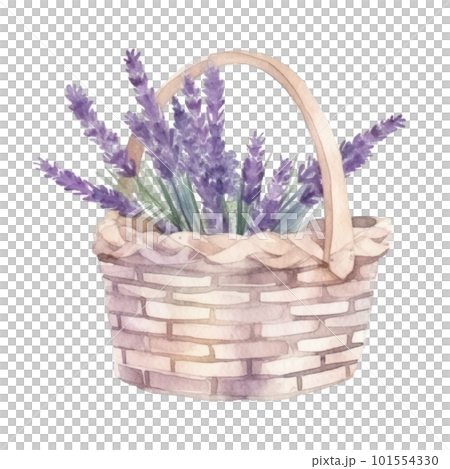 Watercolor lavender flowers in basket. Illustration AI Generative Watercolor lavender flowers in basket. Illustration AI Generative 101554330