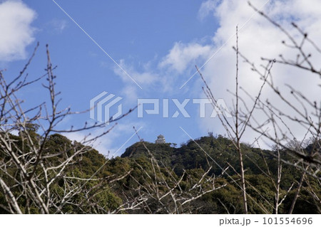 岐阜城 岐阜城 101554696