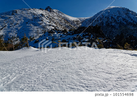 黒百合平から望む厳冬の八ヶ岳連峰・天狗岳 101554698