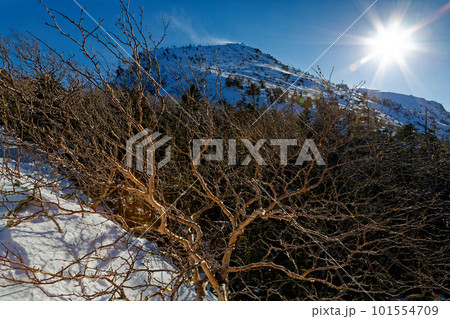 中山峠付近から見る雪煙上がる八ヶ岳連峰・天狗岳 101554709