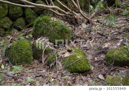 天空への道案内 天空への道案内 101555949