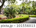 滋賀県びわこ文化公園の晩秋の風景 101556013