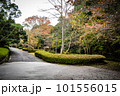 滋賀県びわこ文化公園の晩秋の風景 101556015