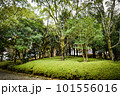 滋賀県びわこ文化公園の晩秋の風景 101556016