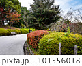 滋賀県びわこ文化公園の晩秋の風景 101556018