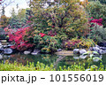 滋賀県びわこ文化公園の晩秋の風景 101556019