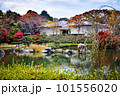 滋賀県びわこ文化公園の晩秋の風景 101556020