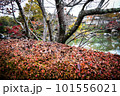 滋賀県びわこ文化公園の晩秋の風景 101556021