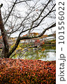 滋賀県びわこ文化公園の晩秋の風景 101556022