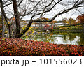 滋賀県びわこ文化公園の晩秋の風景 101556023