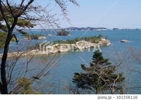 天然の桟橋松島馬の背の景色 天然の桟橋松島馬の背の景色 101556116