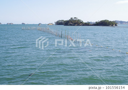松島湾岸回廊扇崎からの景色 松島湾岸回廊扇崎からの景色 101556154