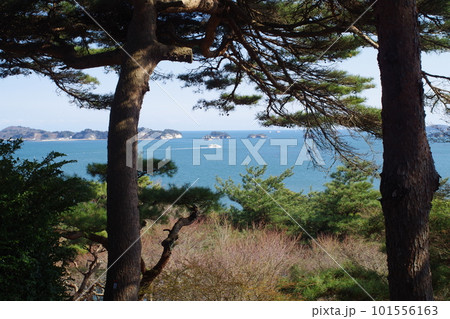 松島湾岸回廊双観山からの景色 101556163