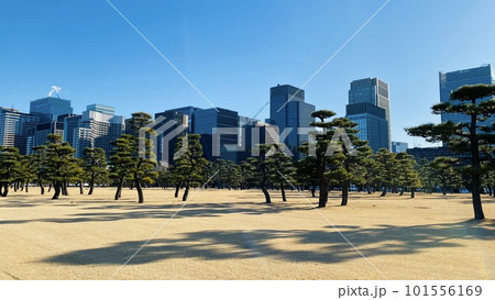 皇居からみる大手町オフィスビルの景観 皇居からみる大手町オフィスビルの景観 101556169