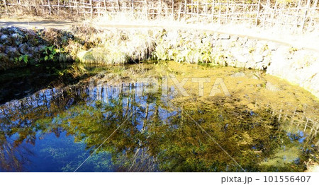 忍野八海の風景 銚子池 忍野八海の風景 銚子池 101556407