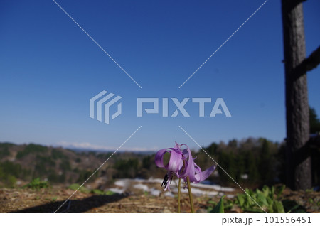 棚田暮らし 101556451