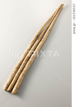 新鮮で美味しい牛蒡 新鮮で美味しい牛蒡 101556537