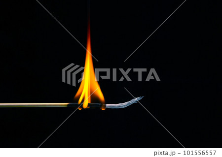 Burning wood match on a dark background close-up. burning tree fire Burning wood match on a dark background close-up. burning tree fire 101556557