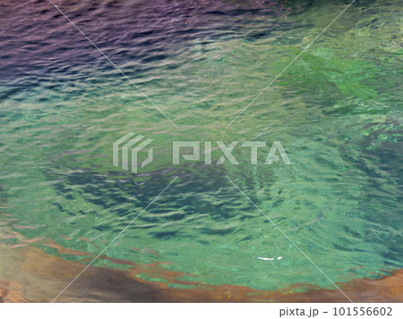 エメラルドグリーンの澄んだ滝壺 エメラルドグリーンの澄んだ滝壺 101556602