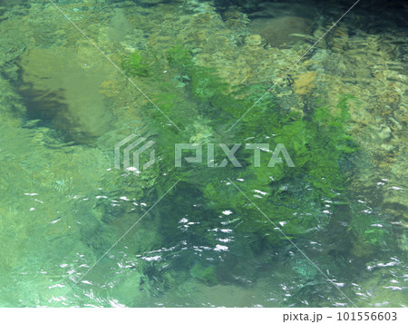 エメラルドグリーンの澄んだ滝壺 101556603