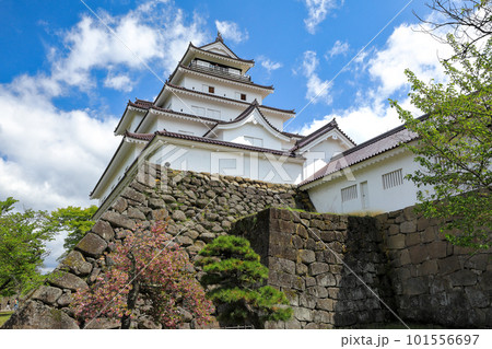 初夏の会津若松城（鶴ヶ城）　福島県会津若松市 101556697