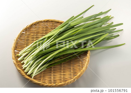 新鮮で美味しいニラ 新鮮で美味しいニラ 101556791