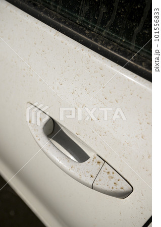 黄砂で汚れた車のドアノブ 101556833