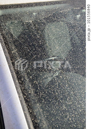 黄砂で汚れた車のガラス 黄砂で汚れた車のガラス 101556840