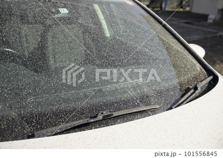 黄砂で汚れた車のガラス 101556845