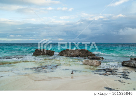 The coastline of the Caribbean Sea with white sand and rocks 101556846