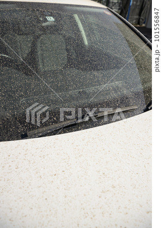 黄砂で汚れた車のガラス 黄砂で汚れた車のガラス 101556847