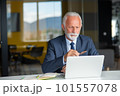 Handsome smiling senior man while sitting at his cozy workplace with laptop at home, retired male chatting with friends in social media, 101557078
