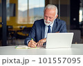 Handsome smiling senior man while sitting at his cozy workplace with laptop at home, retired male chatting with friends in social media, 101557095