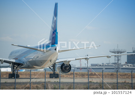 【京浜島つばさ公園からのANA機】 101557124