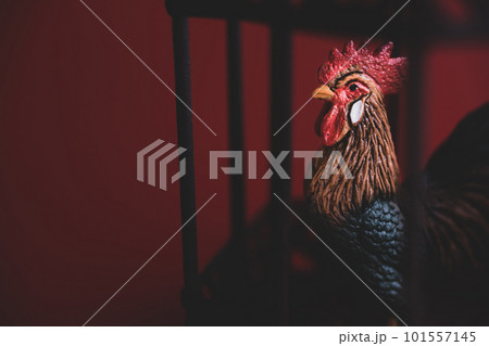 ニワトリ 鳥インフルエンザのイメージ素材 ニワトリ 鳥インフルエンザのイメージ素材 101557145