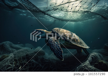 A majestic sea turtle navigates a fishing net, a poignant reminder of the impact of pollution on marine life. The image calls for conservation and sustainable practices. AI Generative. 101557290