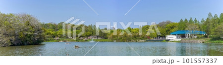 新緑に包まれた公園のパノラマ情景 101557337