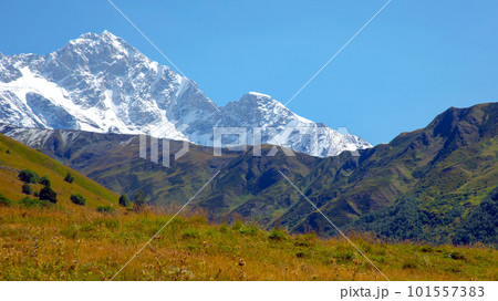 landscape of green grass and snowy mountains. Trekking and travel in Georgia 101557383
