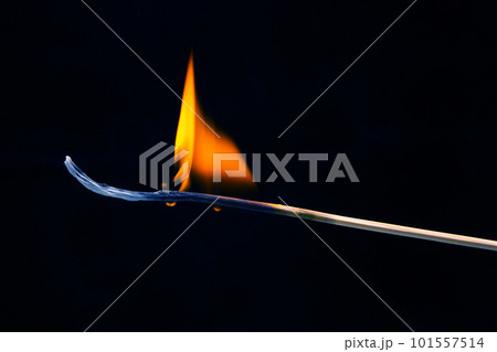Burning wood match on a dark background close-up. burning tree fire Burning wood match on a dark background close-up. burning tree fire 101557514