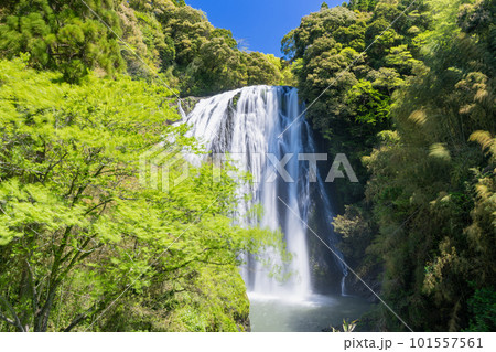 《鹿児島県》龍門滝(りゅうもんだき) 《鹿児島県》龍門滝(りゅうもんだき) 101557561