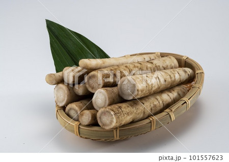 新鮮で美味しいカット牛蒡 101557623