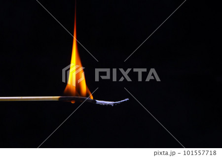 Burning wood match on a dark background close-up. burning tree fire 101557718