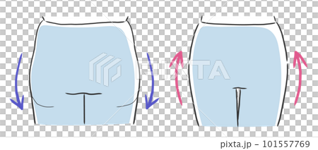 Illustration material of square buttocks and round buttocks 101557769