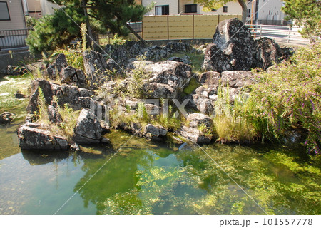 国名勝 興井(おきのい)(宮城県多賀城市) 国名勝 興井(おきのい)(宮城県多賀城市) 101557778